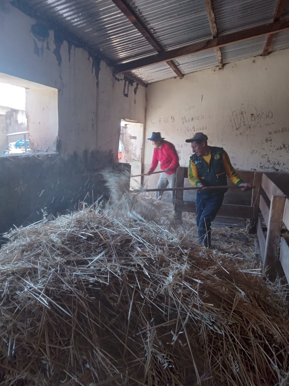 DESDE LAS AGENCIAS AGRARIAS SE VIENE TRABAJANDO EN BENEFICIO DE NUESTROS HERMANOS PRODUCTORES DE LA REGION PUNO