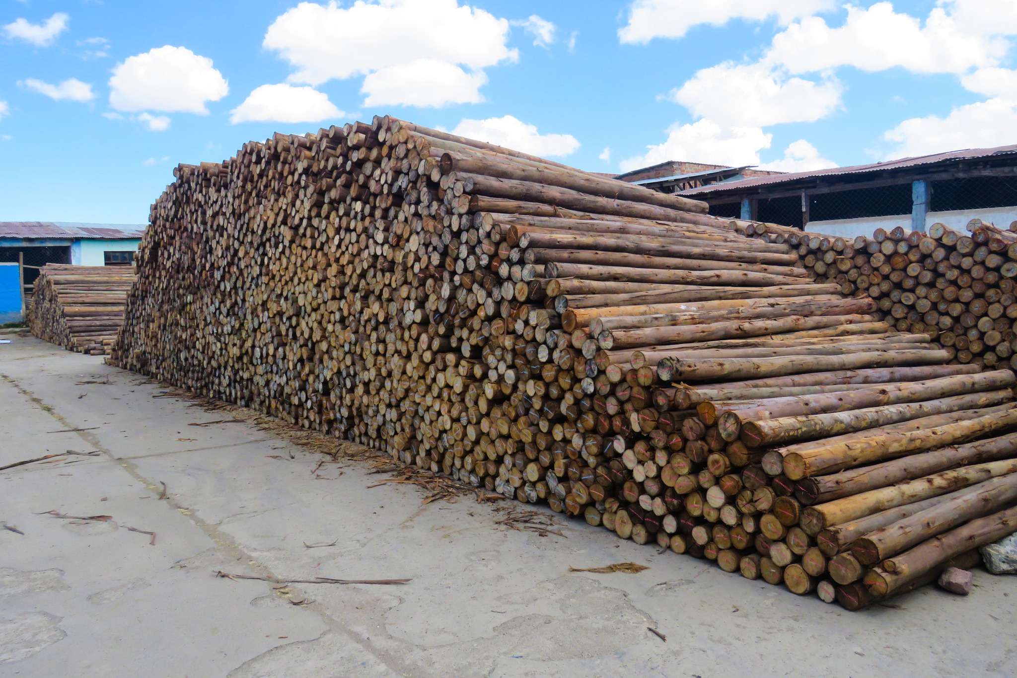 PROYECTO VICUÑAS REALIZARÁ LA IMPLEMENTACIÓN, AMPLIACIÓN Y MEJORAMIENTO DE MÓDULOS DE MANEJO SOSTENIBLE DE VICUÑAS