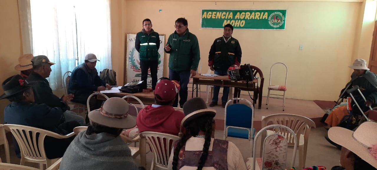 LA CADENA PRODUCTIVA DE CUYES DE LA AGENCIA AGRARIA MOHO SE CONTINÚA FORTALECIENDO LOS CONOCIMIENTOS DE LOS PRODCUTORES