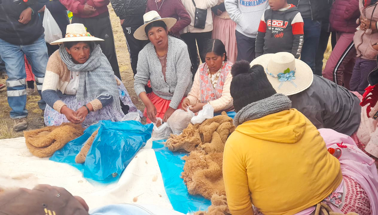 PROYECTO VICUÑAS VIENE ENTREGANDO PALOS ROLLIZOS E INSTALANDO GEOMEMBRANA EN MICRORESERVORIOS