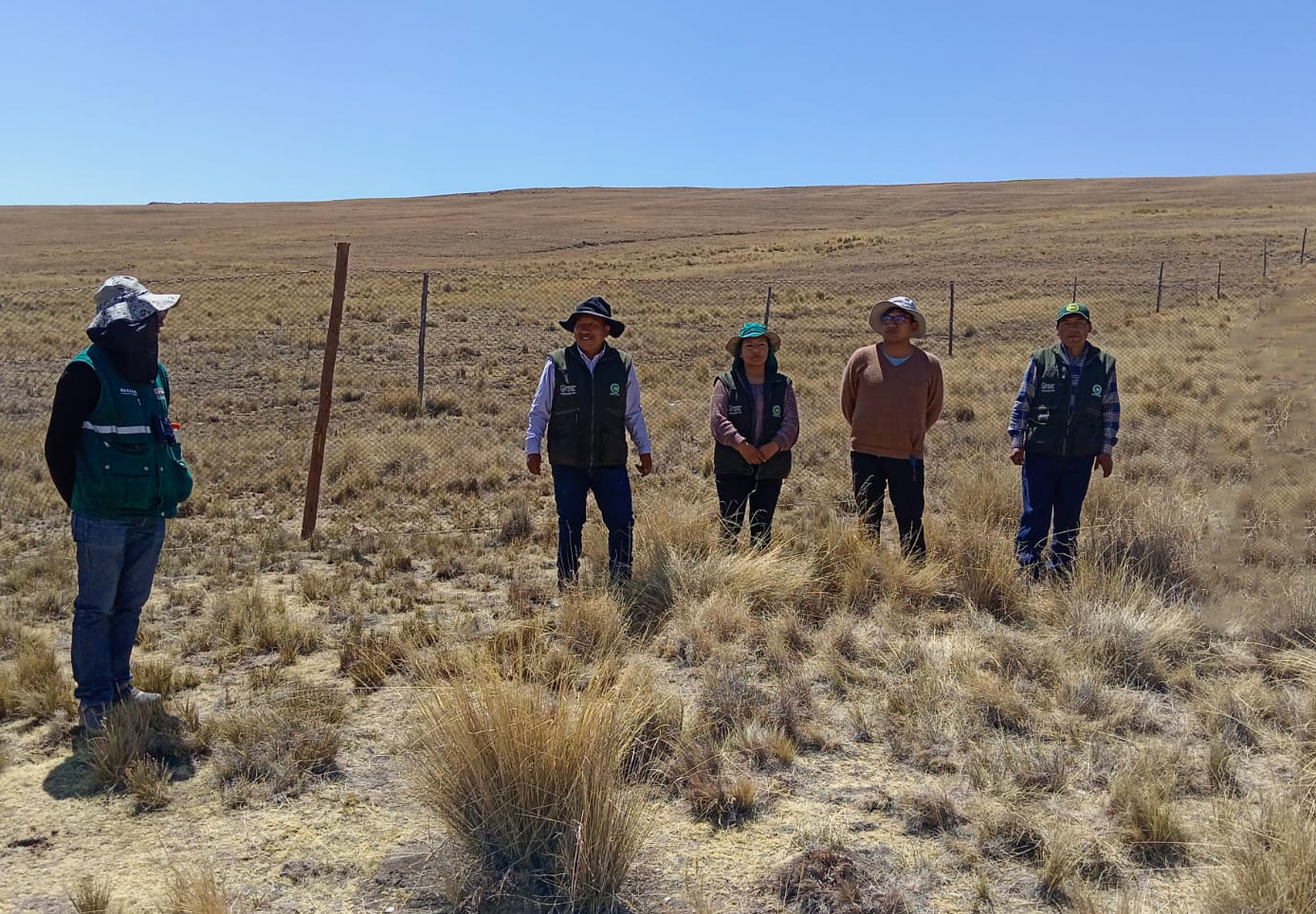 PROYECTO VICUÑAS REALIZÓ ESQUILA DE VICUÑAS EN COMITÉS SOSTENIBLES DE CAMÉLIDOS SUDAMERICANOS SILVESTRES
