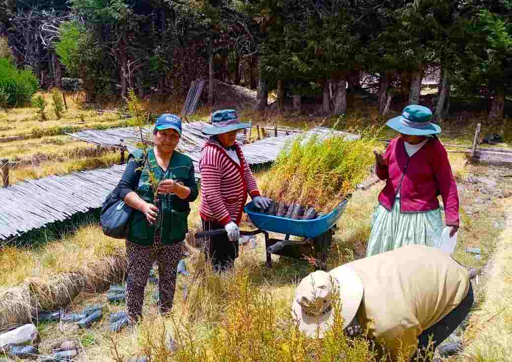 LA DIRECCIÓN REGIONAL AGRARIA PUNO SE SUMA A LA CAMPAÑA “DEJA TU HUELLA VERDE” CON LA PLANTACIÓN DE ÁRBOLES