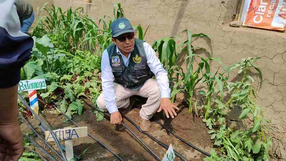 PROYECTO SEGURIDAD ALIMENTARIA  INSTALA SISTEMA DE RIEGO POR GOTEO