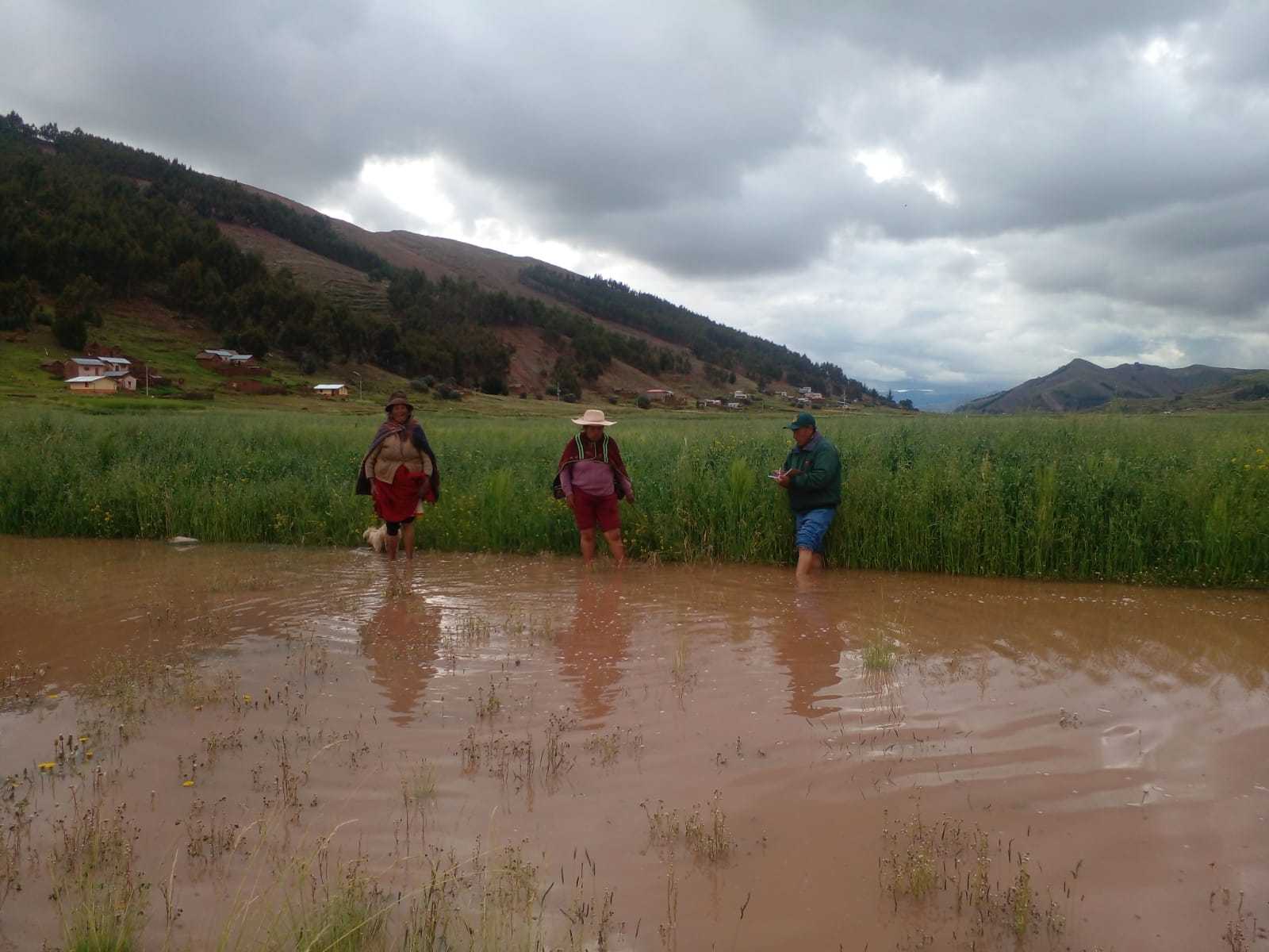 ACCIONES DE CAMPO DE FORMA INMEDIATA DE LAS AGENCIAS AGRARIAS DE LA DIRECCION REGIONAL AGRARIA PUNO