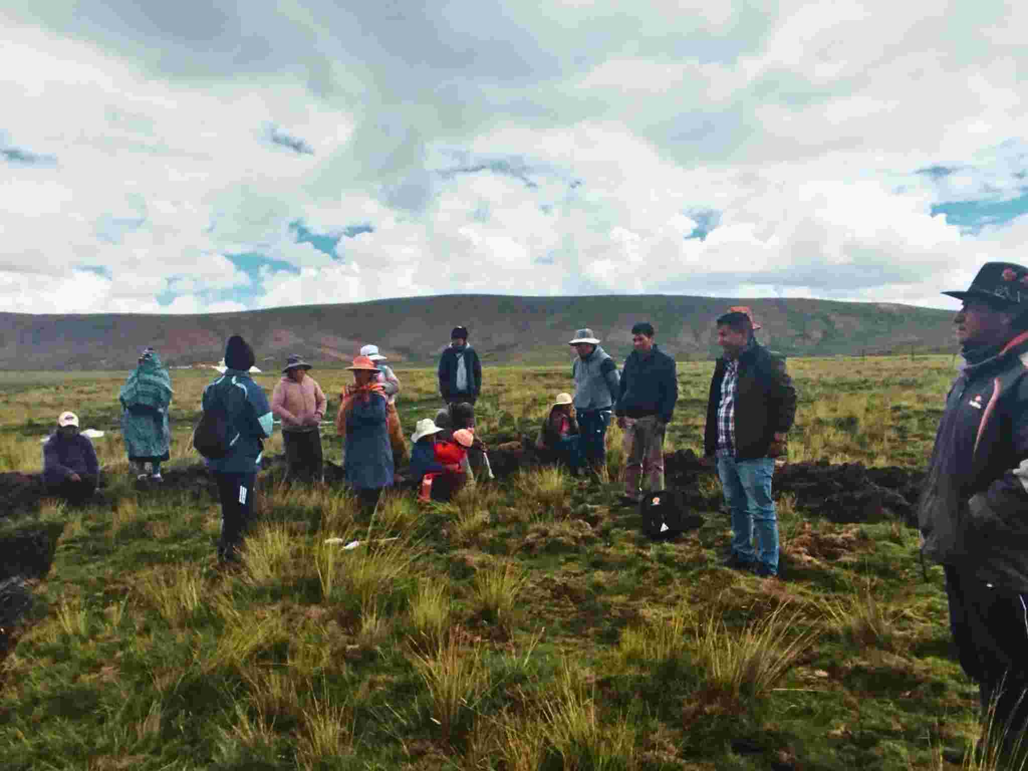 PROYECTO DE VICUÑAS DE LA GERENCIA REGIONAL DE DESARROLLO AGRARIO DEL GOBIERNO REGIONAL IMPLEMENTO LOS MODULOS DE MANEJO DE AGUA FLUVIALES