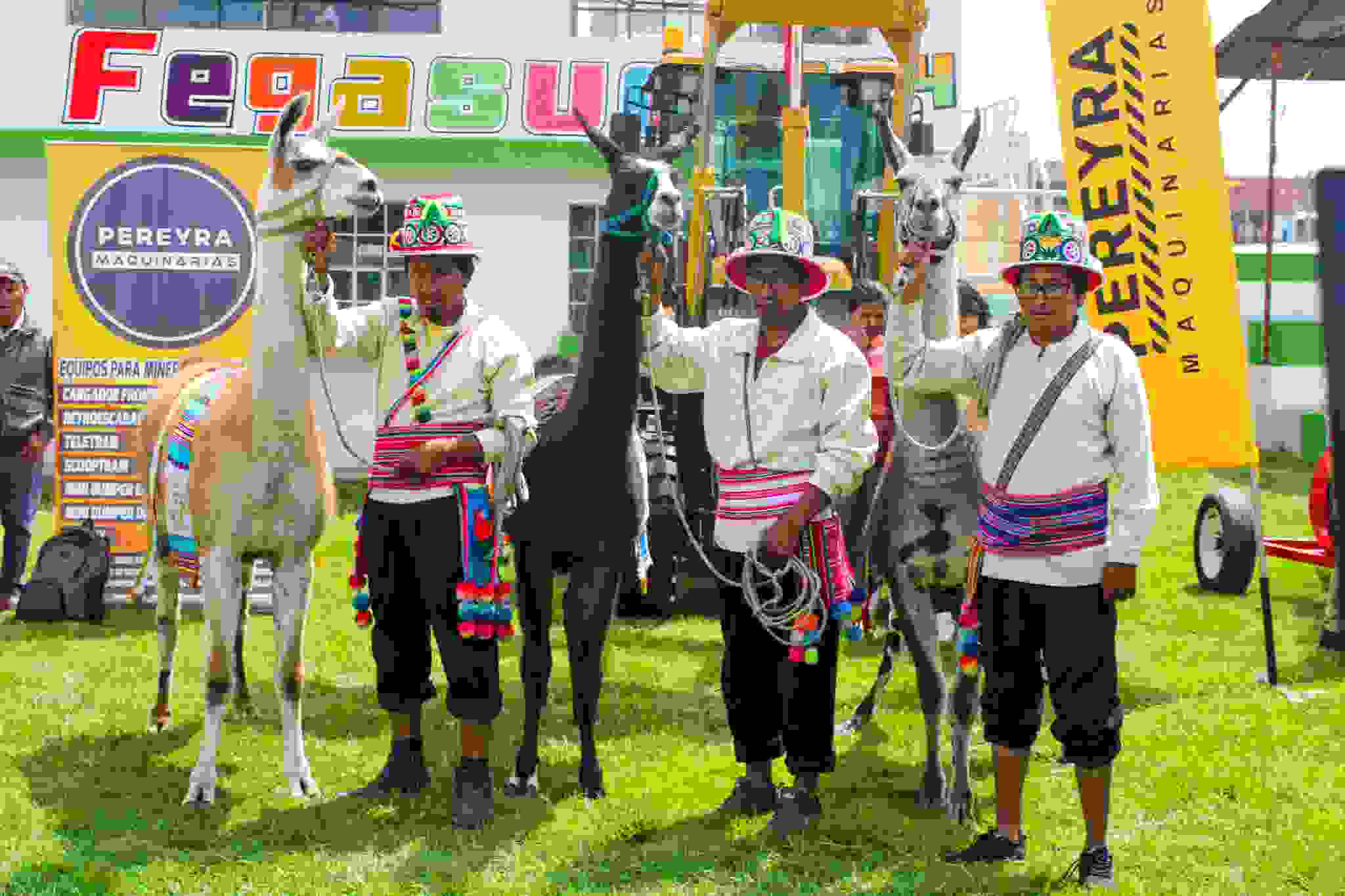 REALIZAN GRAN LANZAMIENTO DE FEGASUR 2024