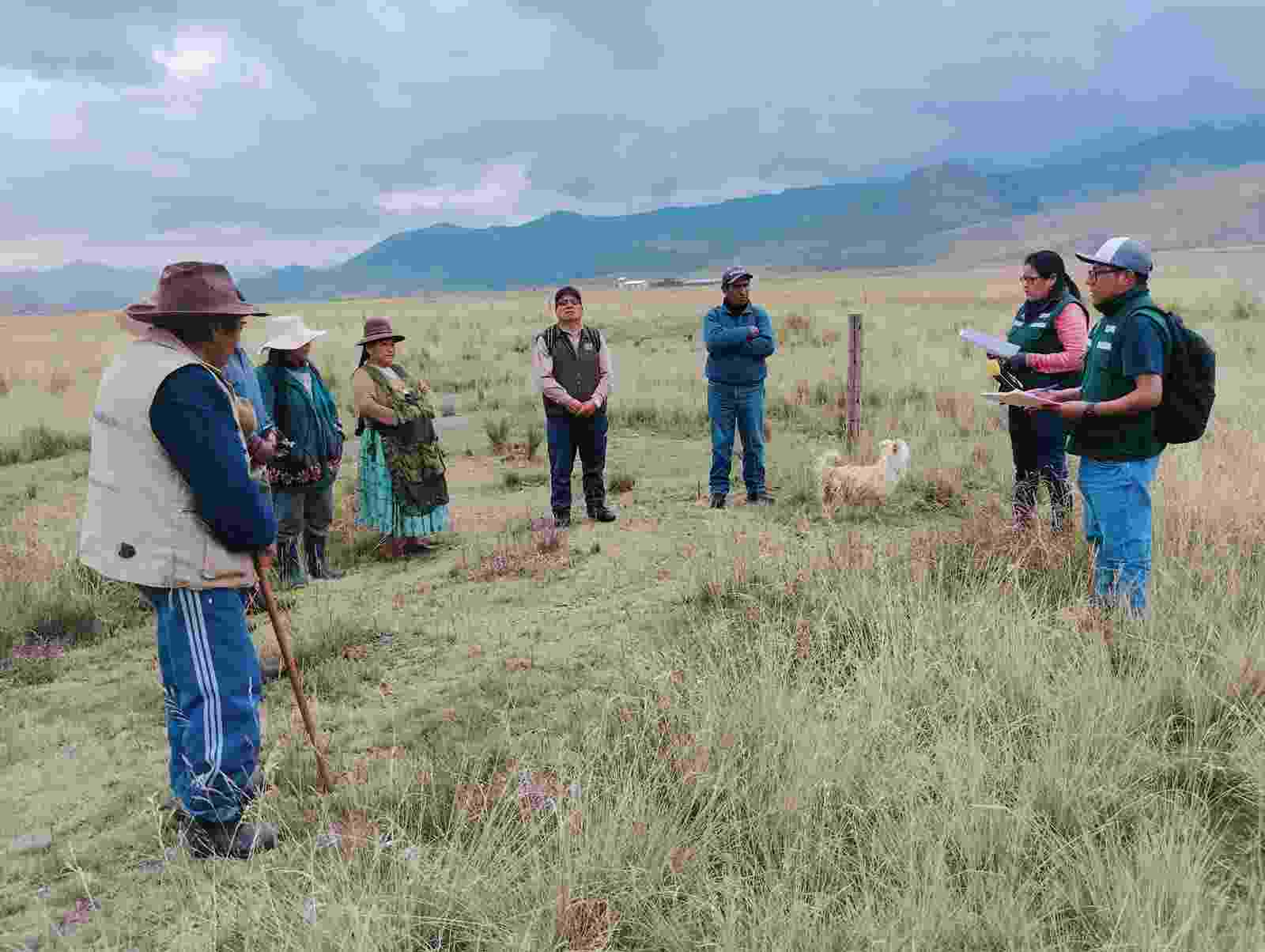 TRABAJOS DE VISACION DE PREDIOS RURALES REALIZO LA GERENCIA REGIONAL DE DESARROLLO AGRARIO DEL GOBIERNO REGIONAL DE PUNO