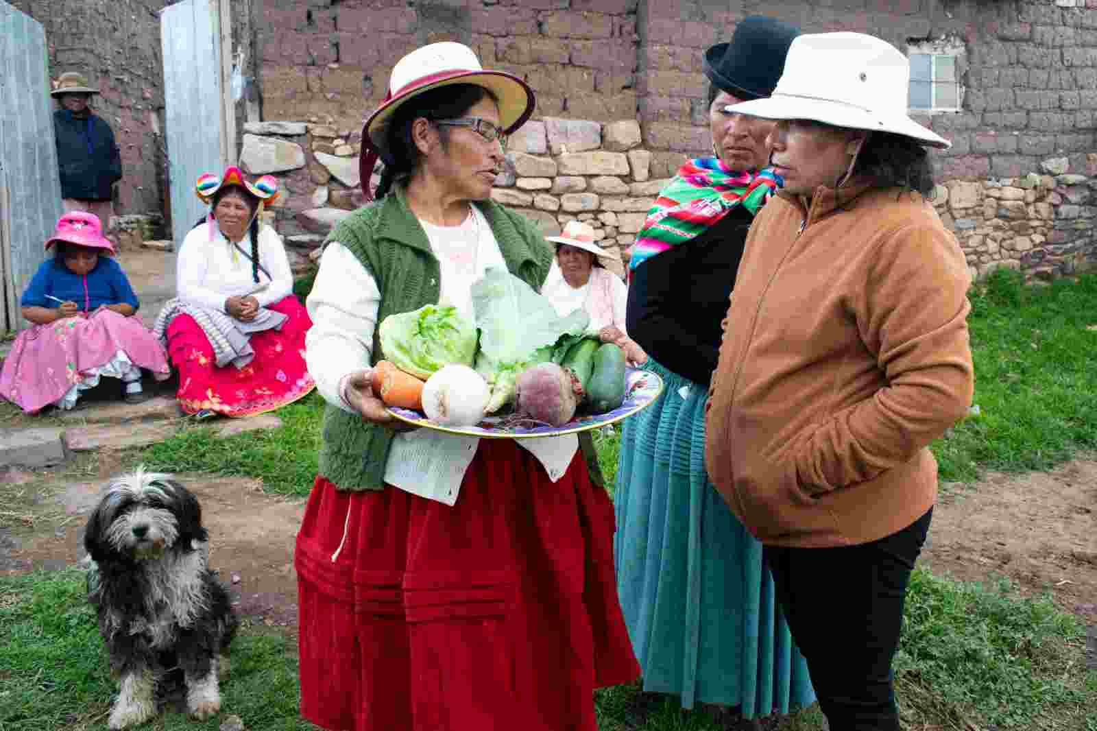 PASANTIA SOBRE INTERCAMBIO DE EXPERIENCIAS EXITOSAS REALIZÓ EL PROYECTO DE SEGURIDAD ALIMENTARIA EN LAS PROVINCIAS DE AZANGARO Y PUNO