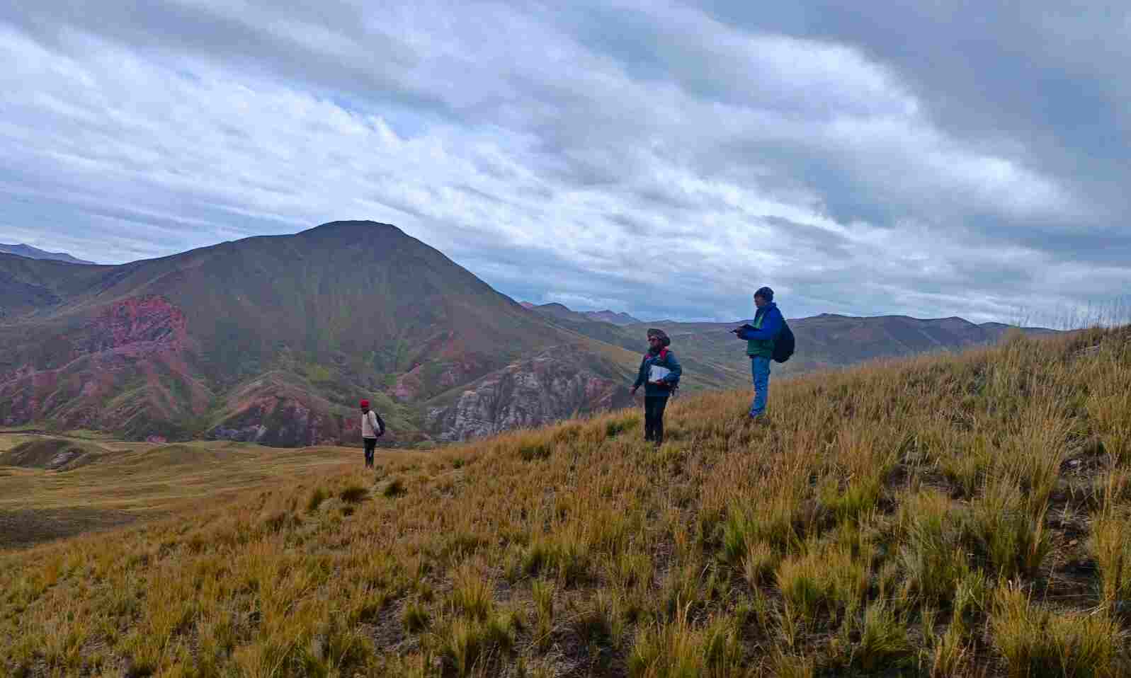 PERSONAL DEL PROYECTO VICUÑAS REALIZA CONTEO POBLACIONAL Y MONITOREO DE MICRORESERVORIOS INSTALADOS EL 2023