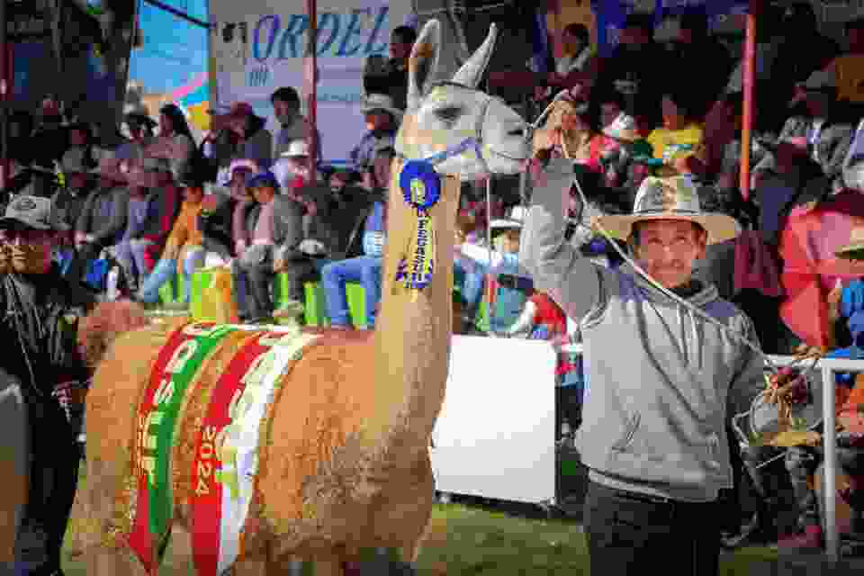 PREMIAN A PRODUCTORES EN CLAUSURA DE FEGASUR 2024