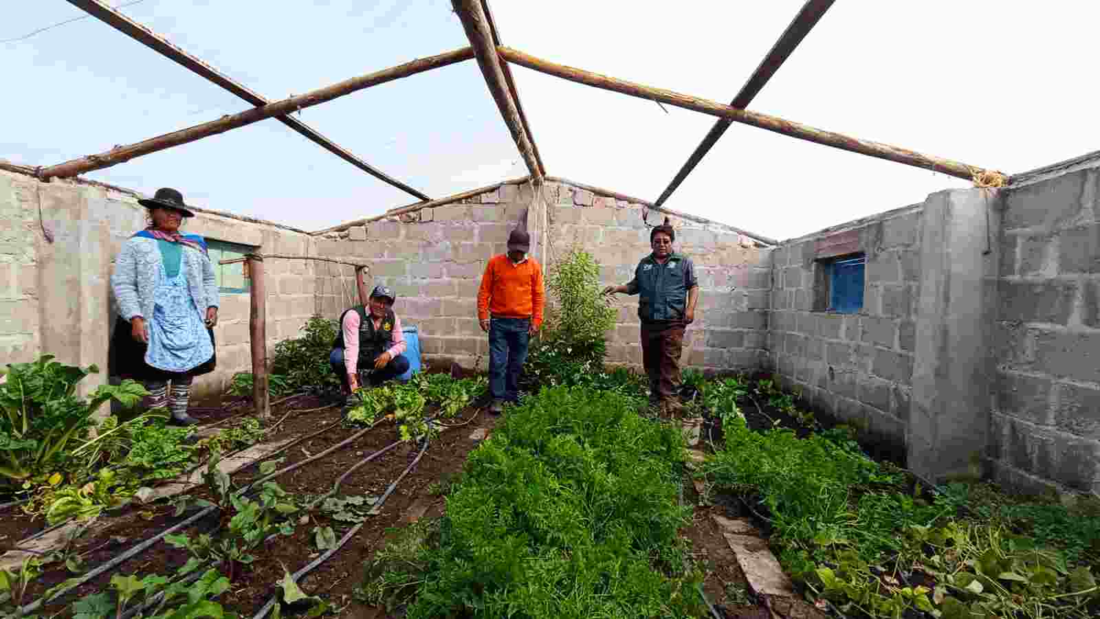 EQUIPO TECNICO DEL PROYECTO SEGURIDAD ALIMENTARIA REALIZO EL SEGUIMIENTO DE LA PRODUCCION DE HORTALIZAS Y ANIMALES MENORES EN AZANGARO