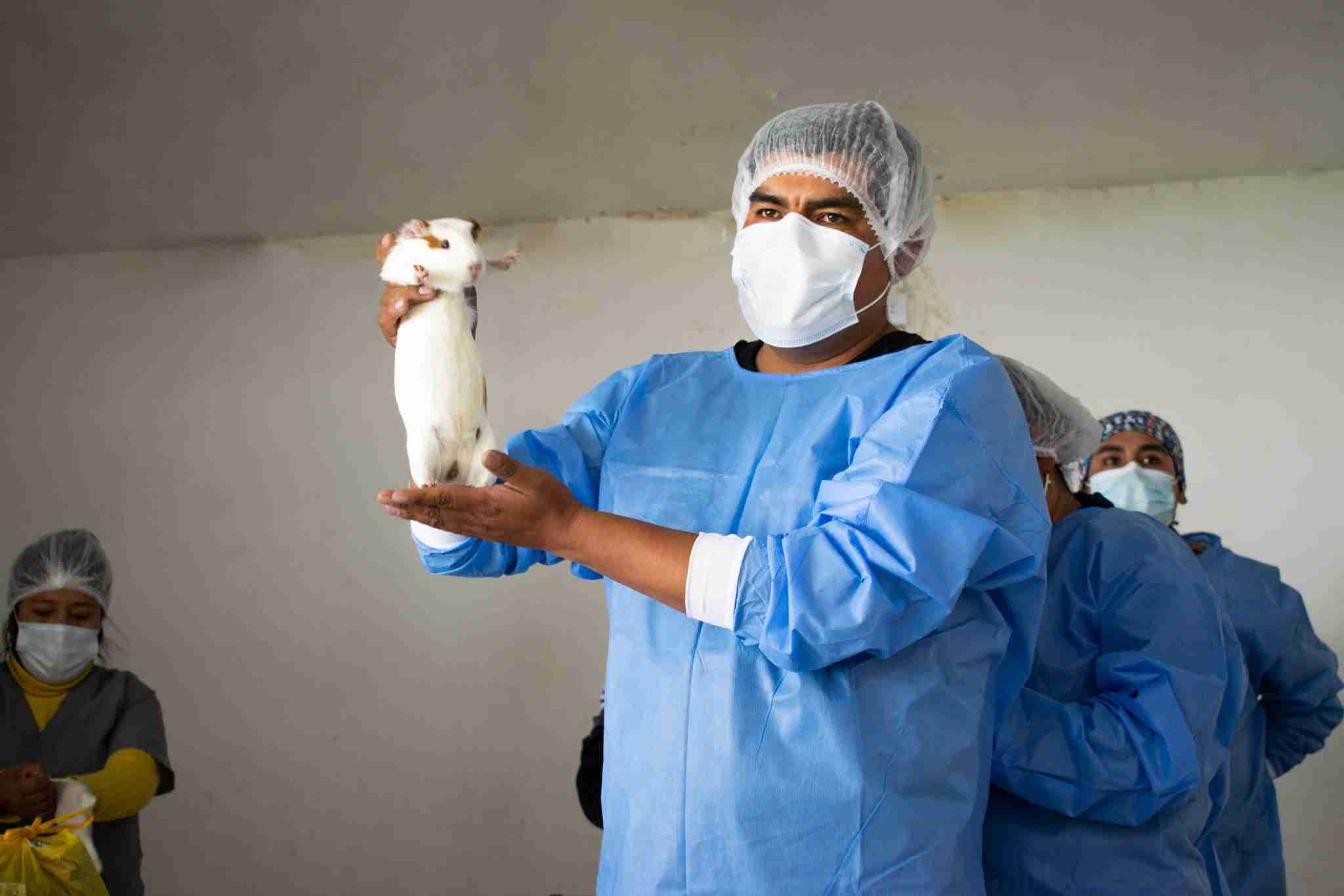 CON GRAN ACOGIA SE DESARROLLO EL CURSO TALLER BENEFICIO VALOR AGREGADO Y COMERCIALIZACION DE CUYES DEL PROYECTO SEGURIDAD ALIMENTARIA