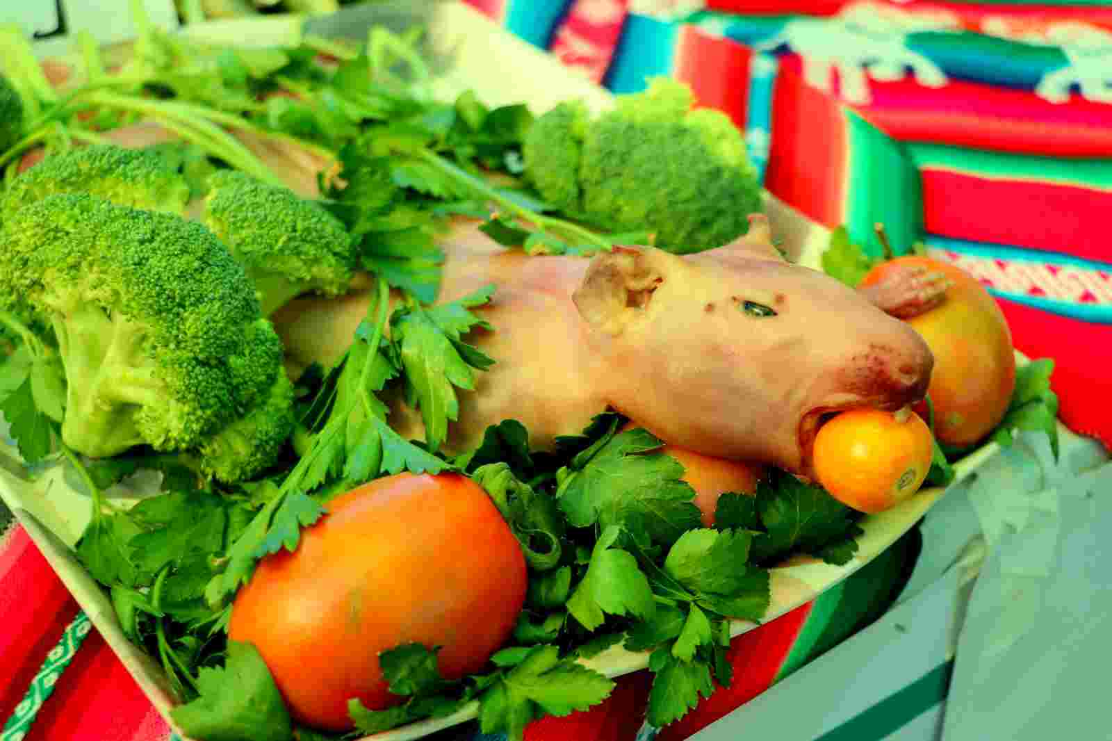 CON GRAN ALGARABIA SE DESARROLLO EL I FESTIVAL GASTRONOMICO DE CUY Y MENU SALUDABLE EN FEGASUR 2024