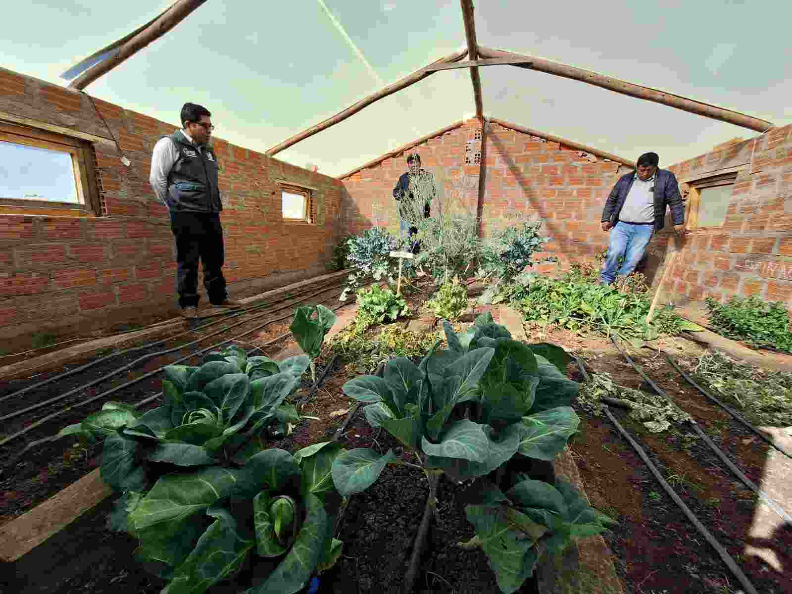 SUPERVISION Y MONITOREO FUE REALIZADO EN INFRAESTRUCTURAS PRODUCTIVAS DEL PROYECTO SEGURIDAD ALIMENTARIA