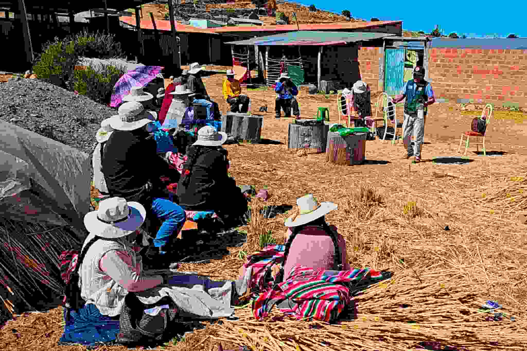 ENTREGA DE MATERIALES Y CAPACITACION LLEVO ACABO EL PROYECTO SEGURIDAD ALIMENTARIA EN CCOTA DEL DISTRITO DE PLATERIA