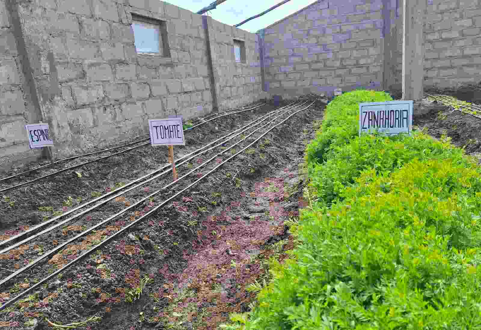 EN MEDIO DE GRAN ALGARABIA PROYECTO SEGURIDAD ALIMENTARIA REALIZO LA INAGURACION DE BIOHUERTO EN EL TECNOLOGICO DE SAN ROSA -MELGAR