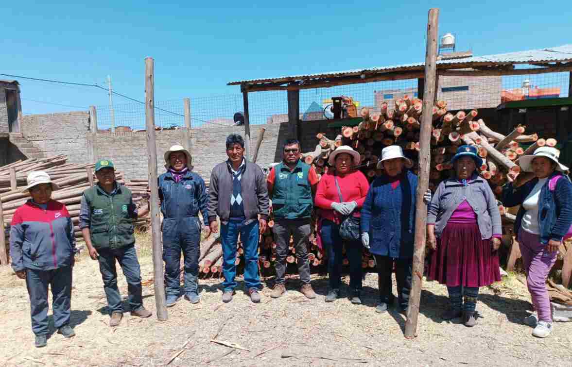 NUEVA DISTRIBUCION DE PALOS ROLLIZOS A NIVEL REGIONAL A TRAVEZ DEL PROYECTO VICUÑAS