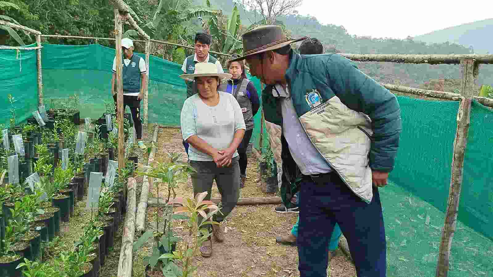 MONITOREO Y EVALUACION DEL AVANCE FISICO DEL PROYECTO FRUTALES REALIZO EL GERENTE REGIONAL DE DESARROLLO AGRARIO