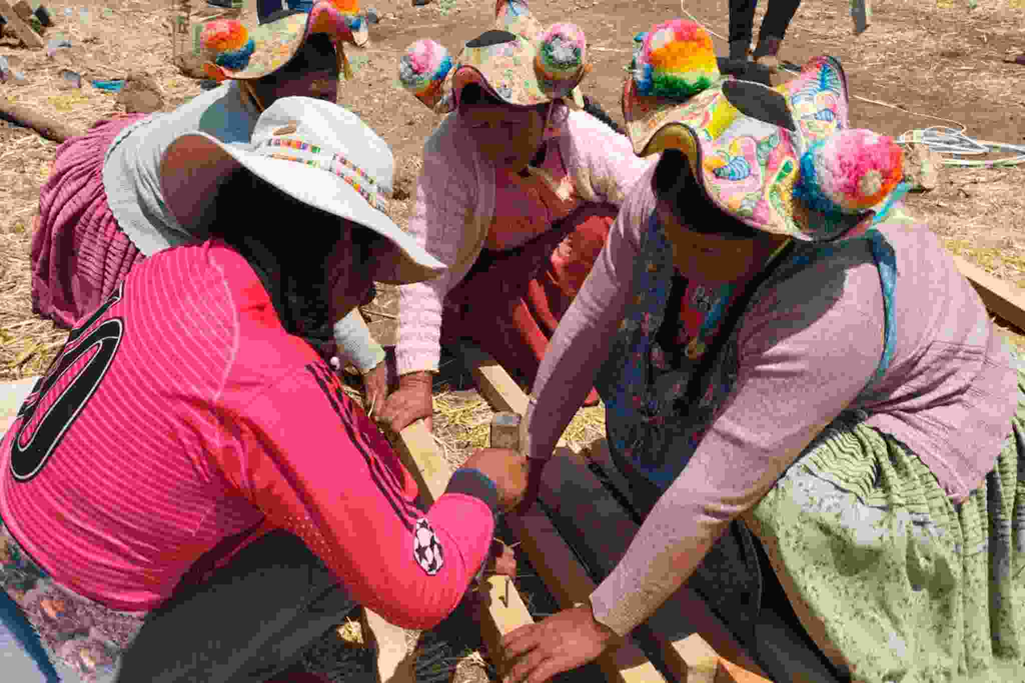 PROYECTO SEGURIDAD ALIMENTARIA CONTINUA CON EL TECHADO DE BIOHUERTOS Y DISTRIBUCION DE GALLINAS A BENEFICIARIOS