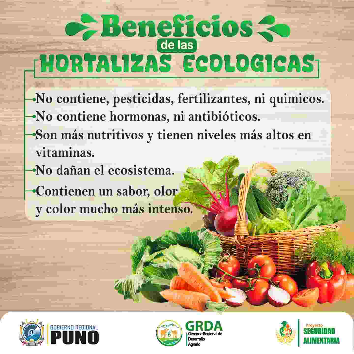 BENEFICIOS DEL CONSUMO DE HORTALIZAS ORGANICAS