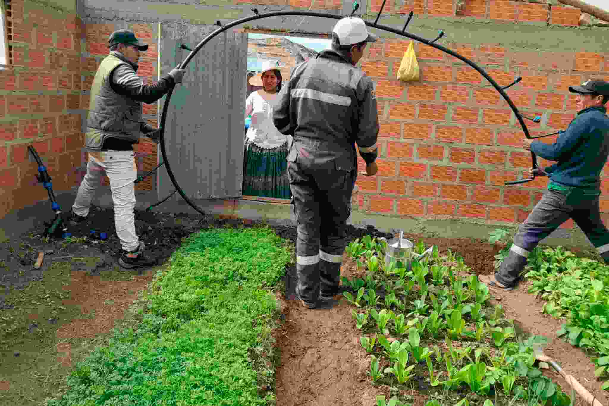 PROYECTO SEGURIDAD ALIMENTARIA CONTINUA CON LA INSTALACION DE RIEGO TECNIFICADO POR GOTEO EN BIOHUERTOS DE LAS TRECE PROVINCIAS DE LA REGION PUNO