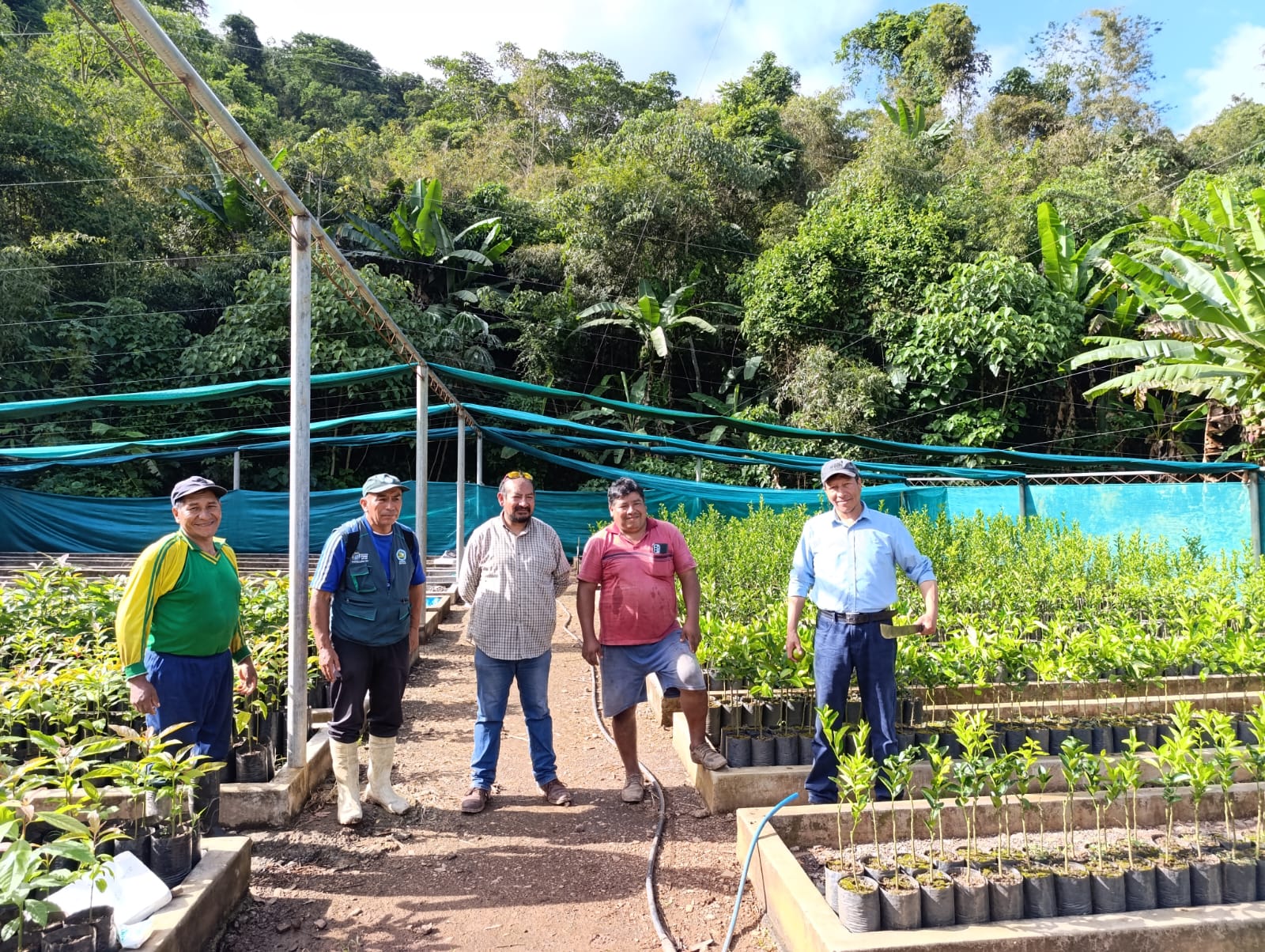 LA GERENCIA REGIONAL DE DESARRROLLO AGRARIO VIENE REALIZANDO EL MONITOREO CONSTANTE AL PROYECTO FRUTALES