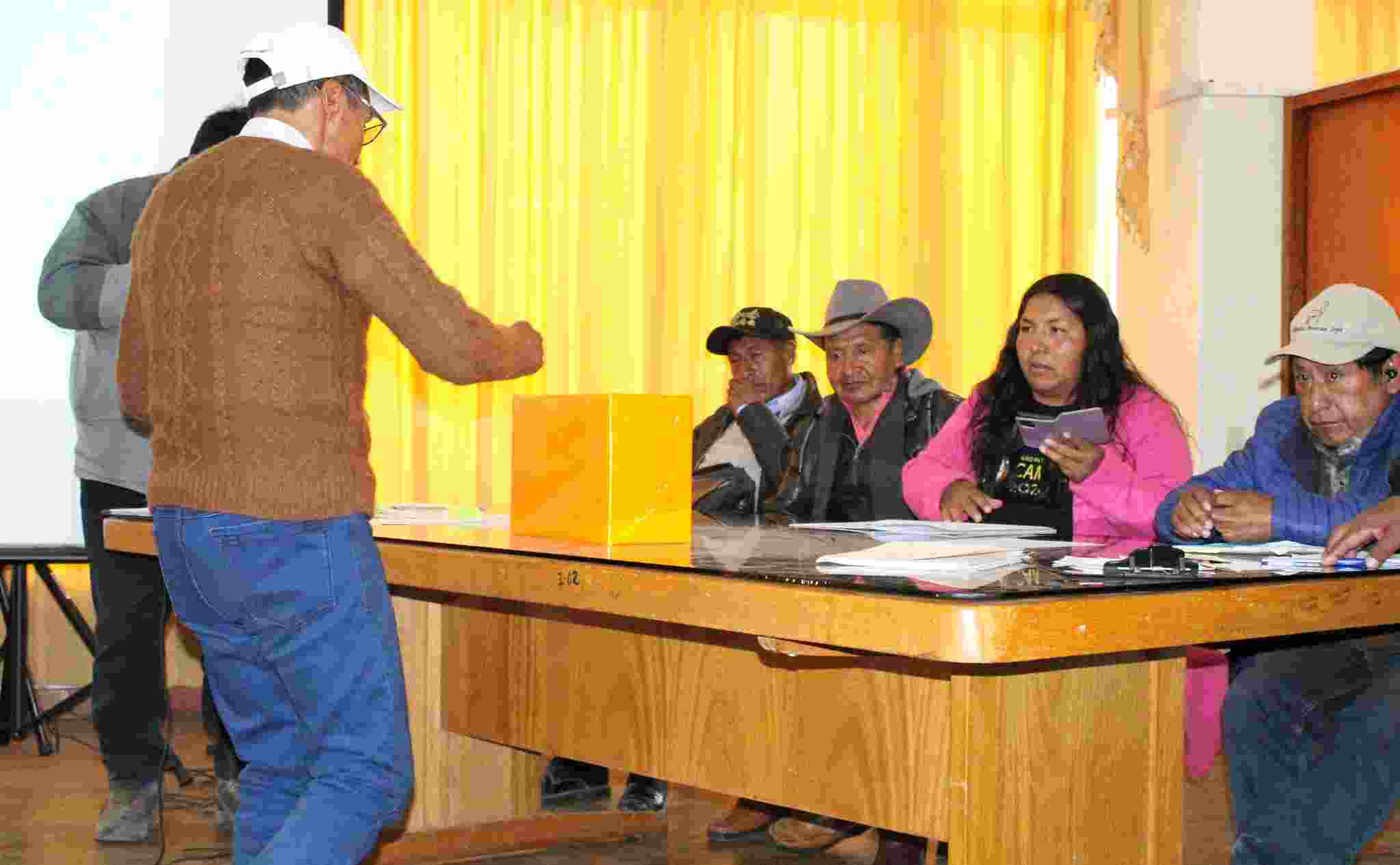 RENUEVAN JUNTA DIRECTIVA DE LA MESA DE TRABAJO DE CAMÉLIDOS SUDAMERICANOS