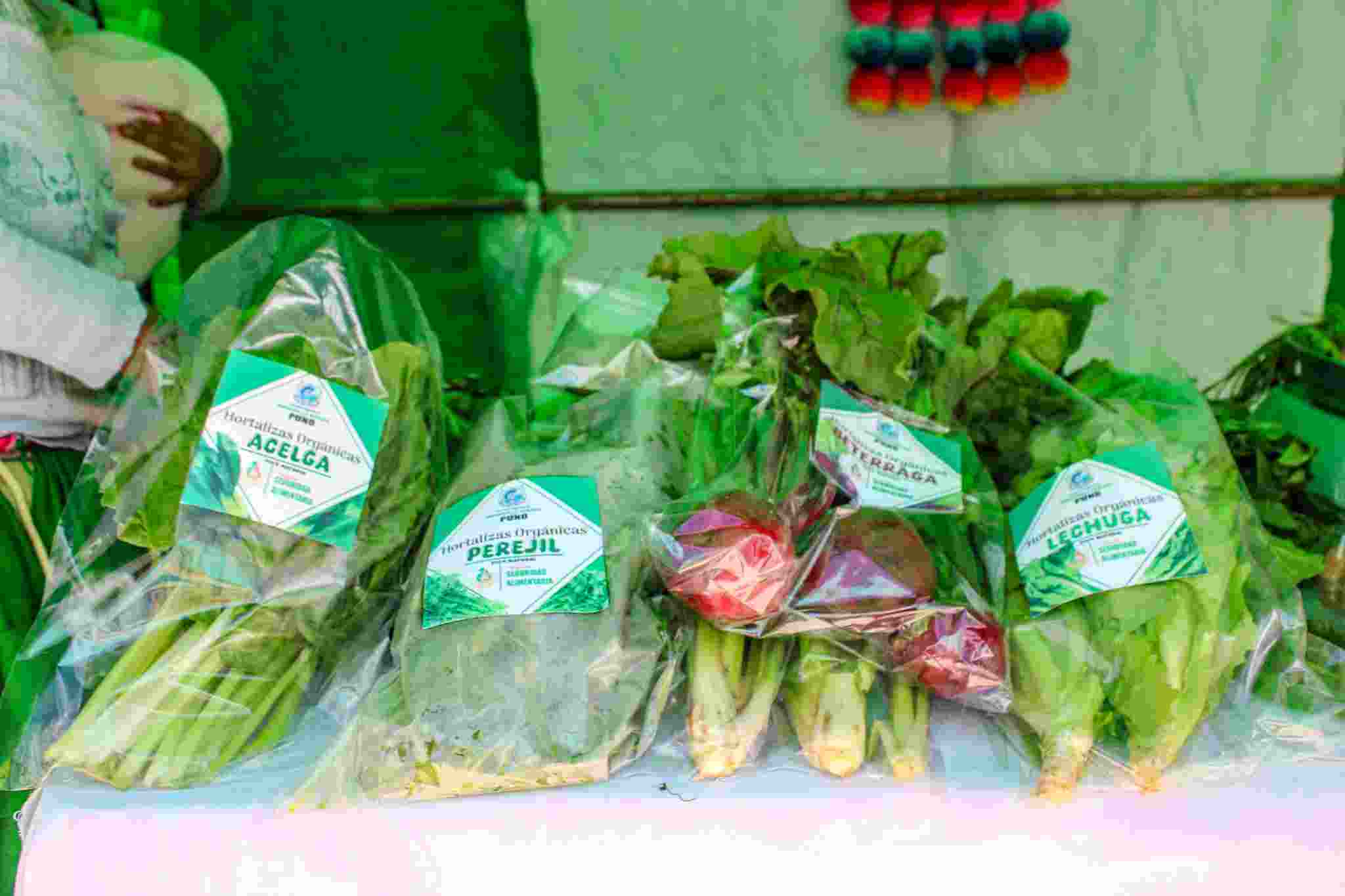 CONTINUA LA PROMOCION DE FERIAS AGROECOLOGICAS PARA GENERAR INGRESOS ECONOICOS Y FORTALECER LA SEGURIDAD ALIMENTARIA EN LA REGION PUNO