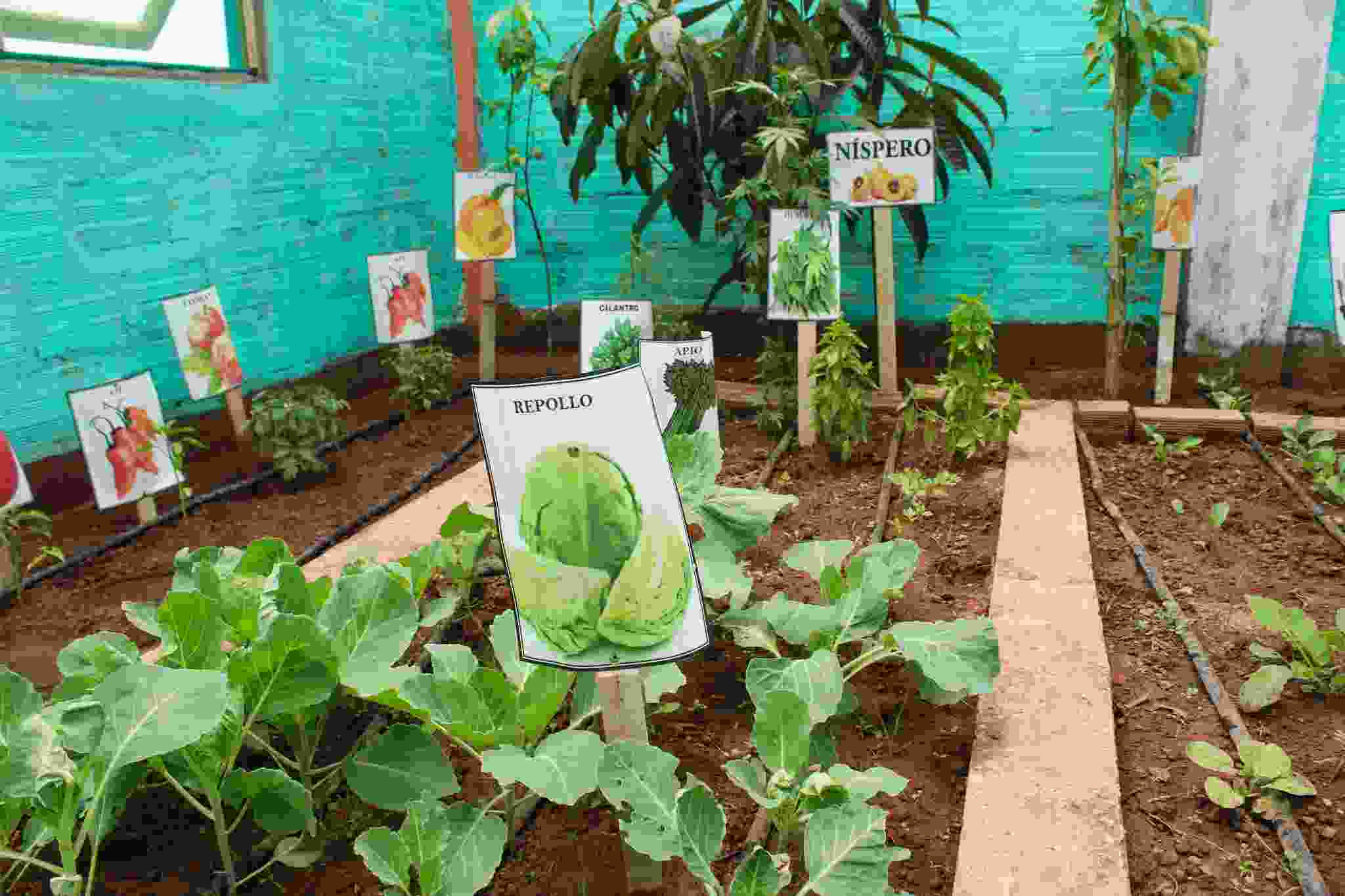 AUTORIDADES REGIONALES ENTREGAN MÓDULOS PRODUCTIVOS DEL PROYECTO SEGURIDAD ALIMENTARIA
