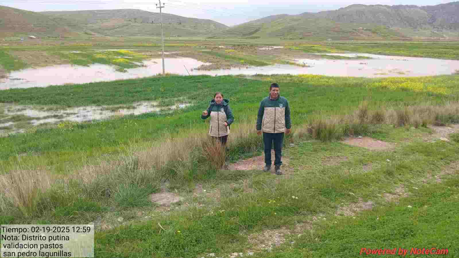 AGENCIAS AGRARIAS DE PUNO EVALUAN DAÑOS EN CULTIVOS Y PASTOS TRAS DESBORDE DE RIO E INUNDACIONES