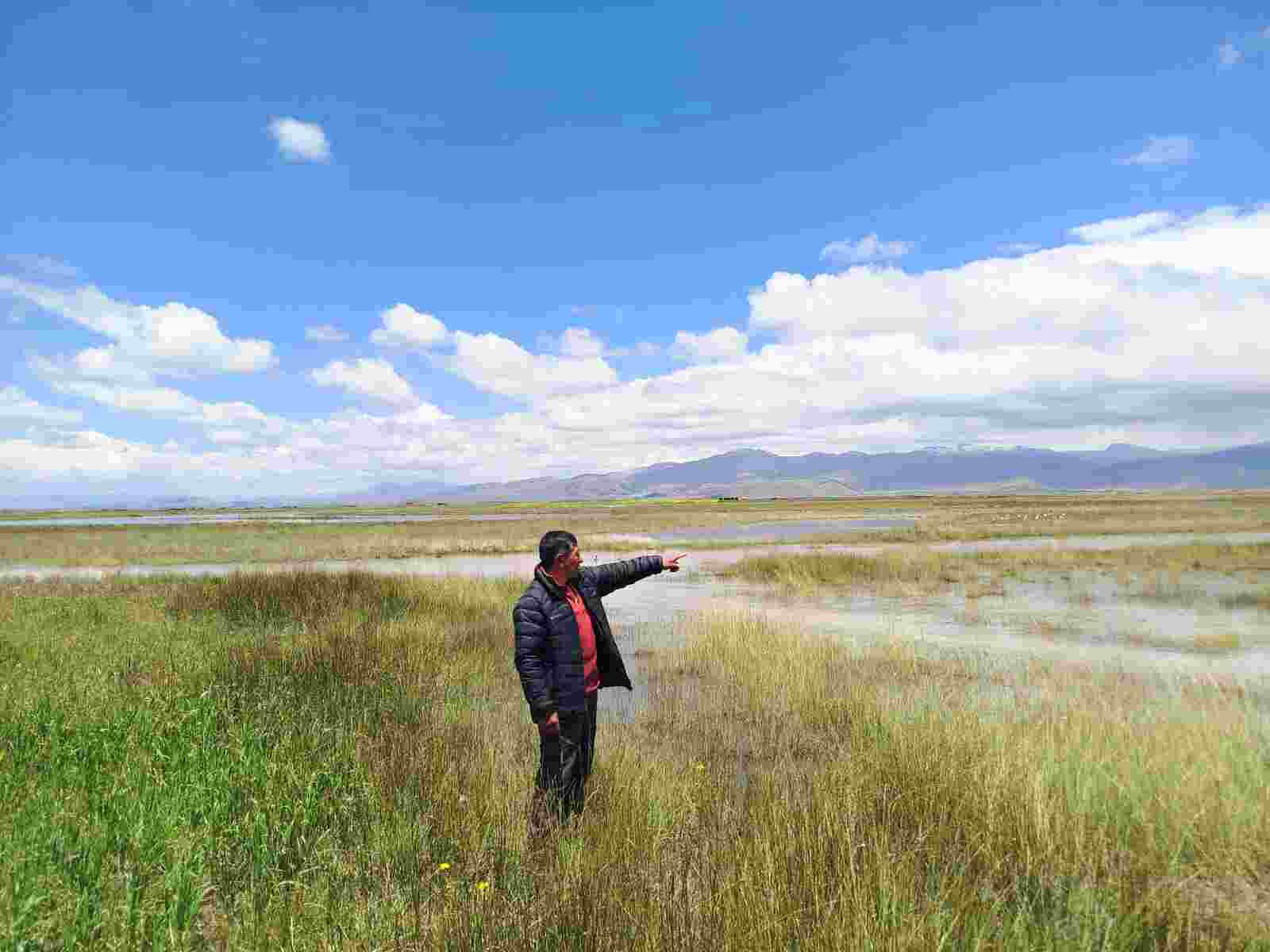 AGENCIAS AGRARIAS REFUERZAN SU PRESENCIA EN LA REGIÓN DE PUNO ANTE EMERGENCIAS EN CULTIVOS.