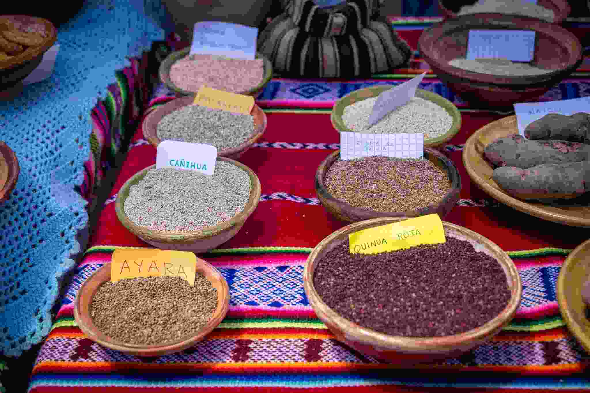 GERENCIA REGIONAL  DE DESARROLLO AGRARIO DE PUNO APOYA EL PROYECTO QUINUA CON UNA INVERSIÓN DE S/ 11 MILLONES