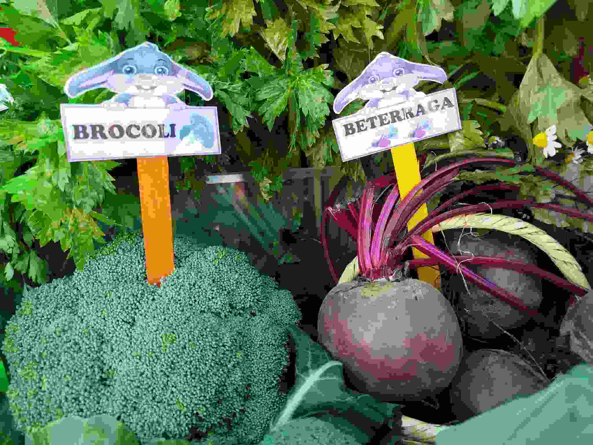 PRODUCTORES DEL PROYECTO SEGURIDAD ALIMENTARIA MUESTRAN RIQUEZA AGRÍCOLA EN EL FESTIVAL DE LA CHACRA A LA OLLA 202