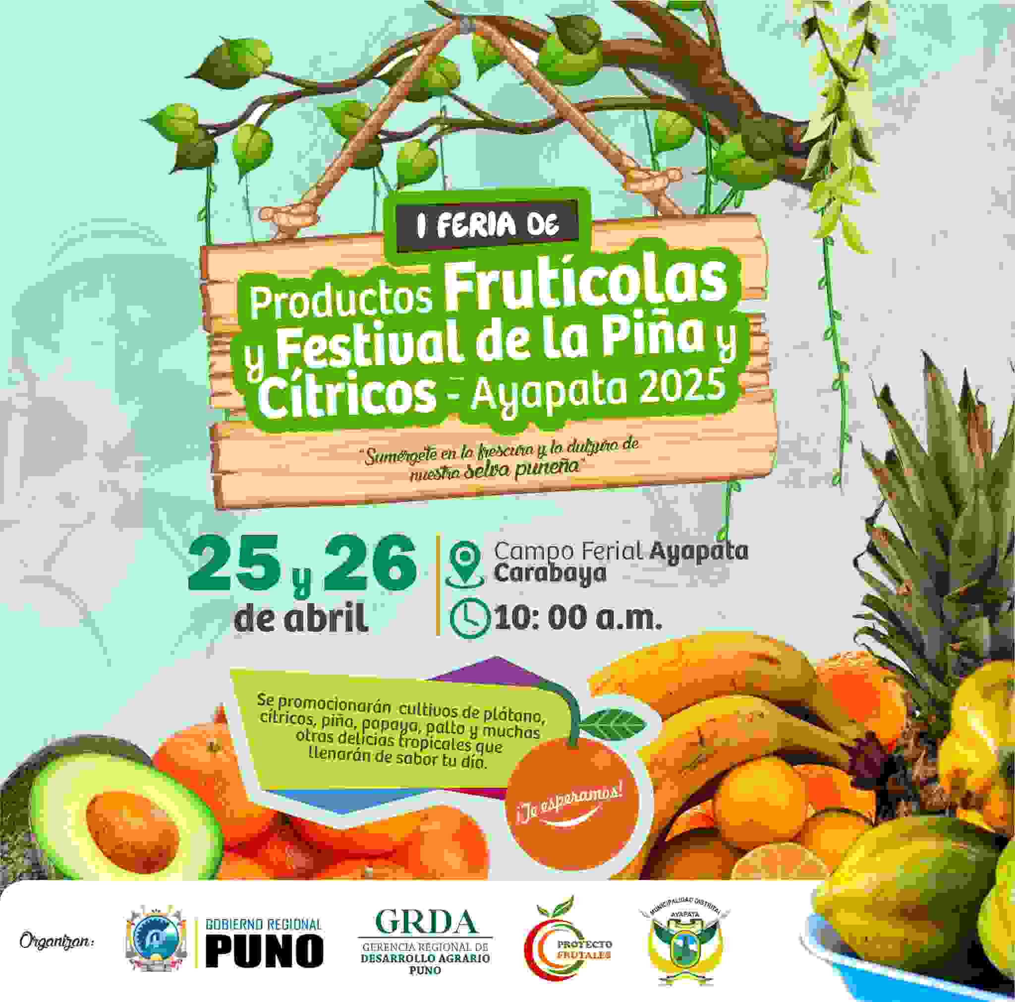 AYAPATA SE LLENARÁ DE SABOR Y COLOR CON LA I FERIA DE PRODUCTOS FRUTÍCOLAS Y FESTIVAL DE LA PIÑA Y CÍTRICOS 2025