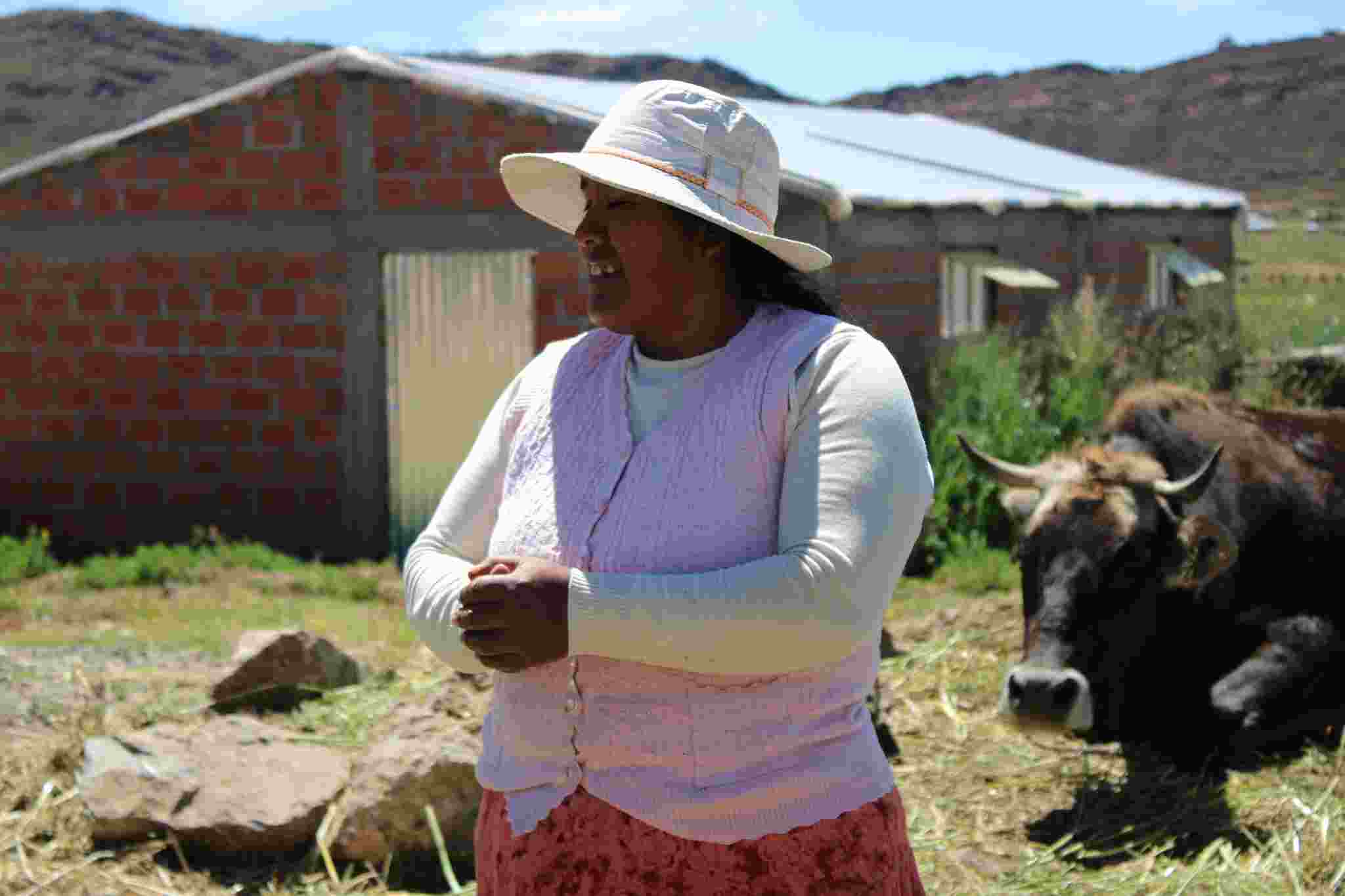CONSEJERO REGIONAL ALFREDO UCHARICO SUPERVISA INFRAESTRUCTURAS PRODUCTIVAS DEL PROYECTO SEGURIDAD ALIMENTARIA