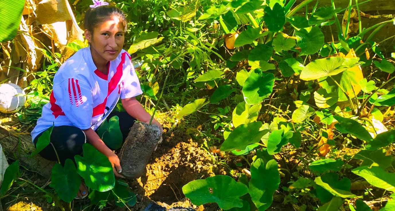 PRODUCTORES FORTALECEN SUS CULTIVOS FRUTALES CON JORNADAS PRÁCTICAS