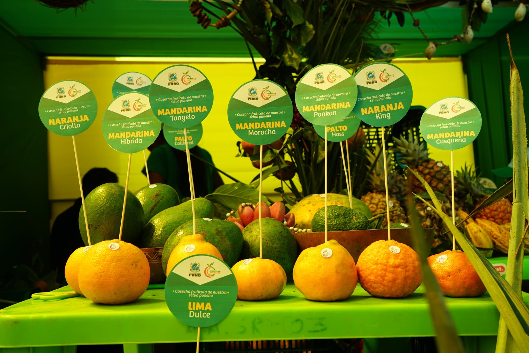 LA SELVA PUNEÑA CONQUISTA FEGASUR 2025 CON FRUTAS, NÉCTARES Y VINOS ARTESANALES