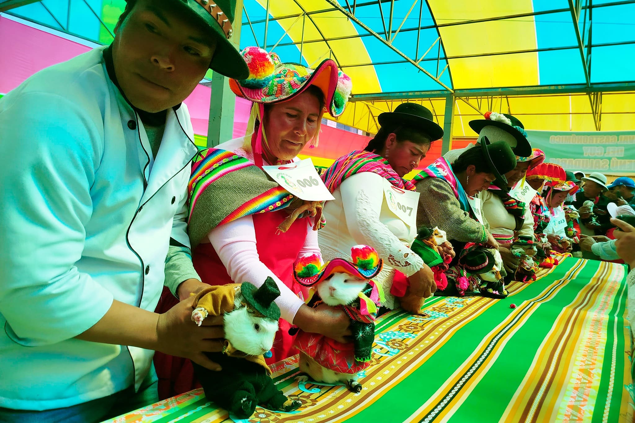 CON GRAN ENTUSIASMO SE DESARROLLÓ EL III FESTIVAL GASTRONÓMICO DEL CUY Y MENÚ SALUDABLE EN FEGASUR 2025