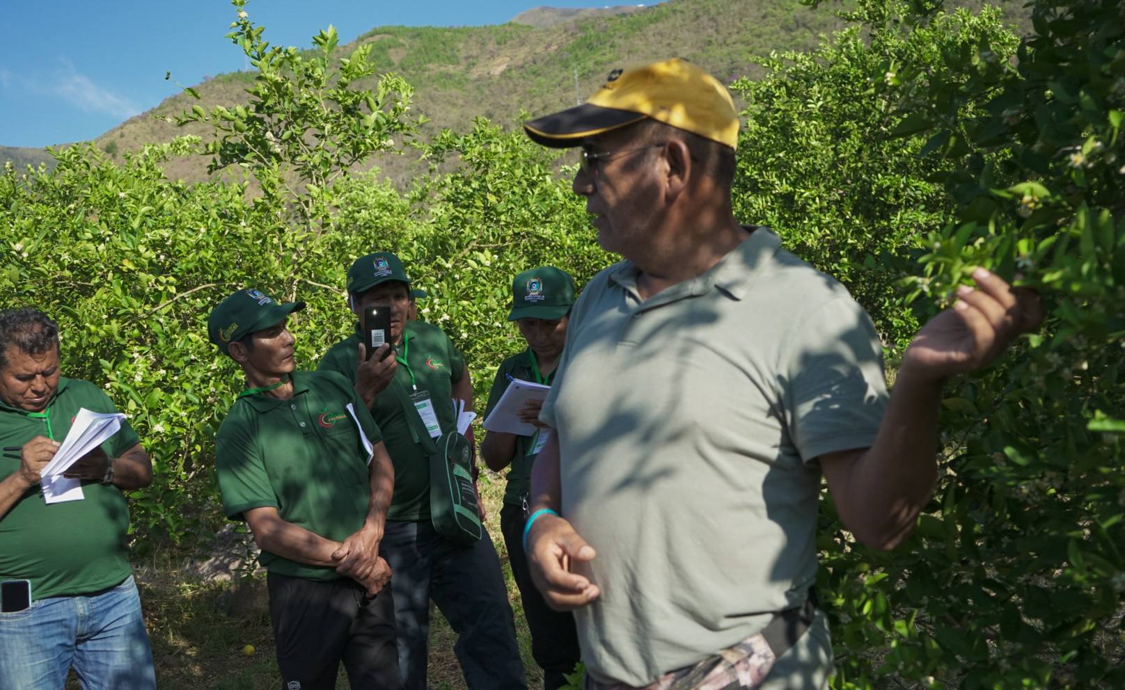 PRODUCTORES DE PUNO CUMPLEN SEGUNDO DÍA DE PASANTÍA EN CUSCO