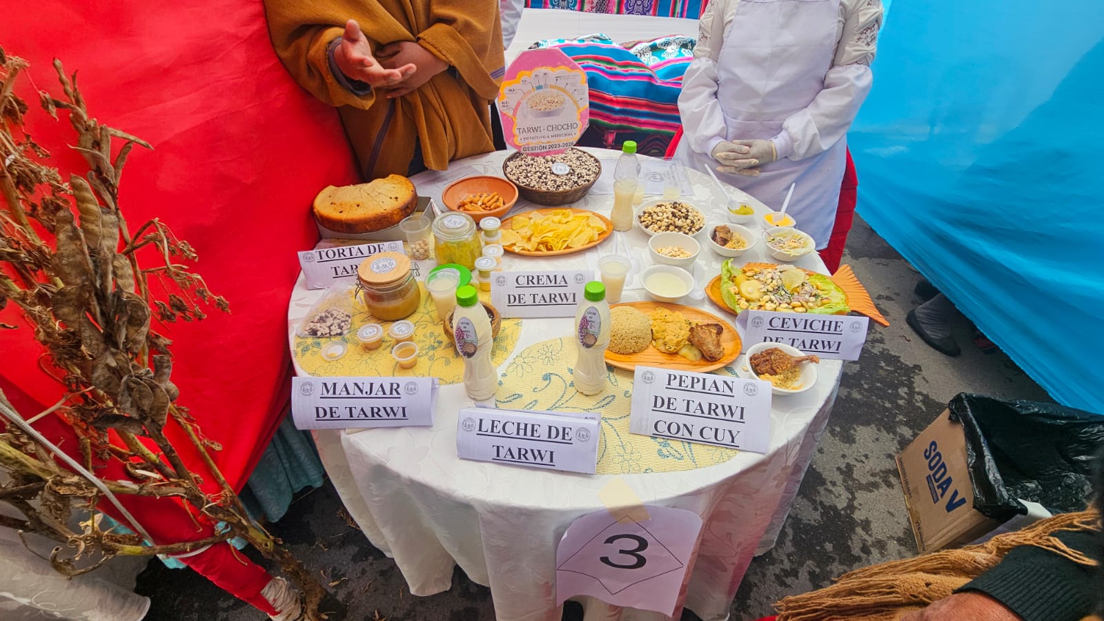 IV FESTIVAL DEL TARWI YUNGUYO 2025: CELEBRANDO LA RIQUEZA DE NUESTROS CULTIVOS ANDINOS.