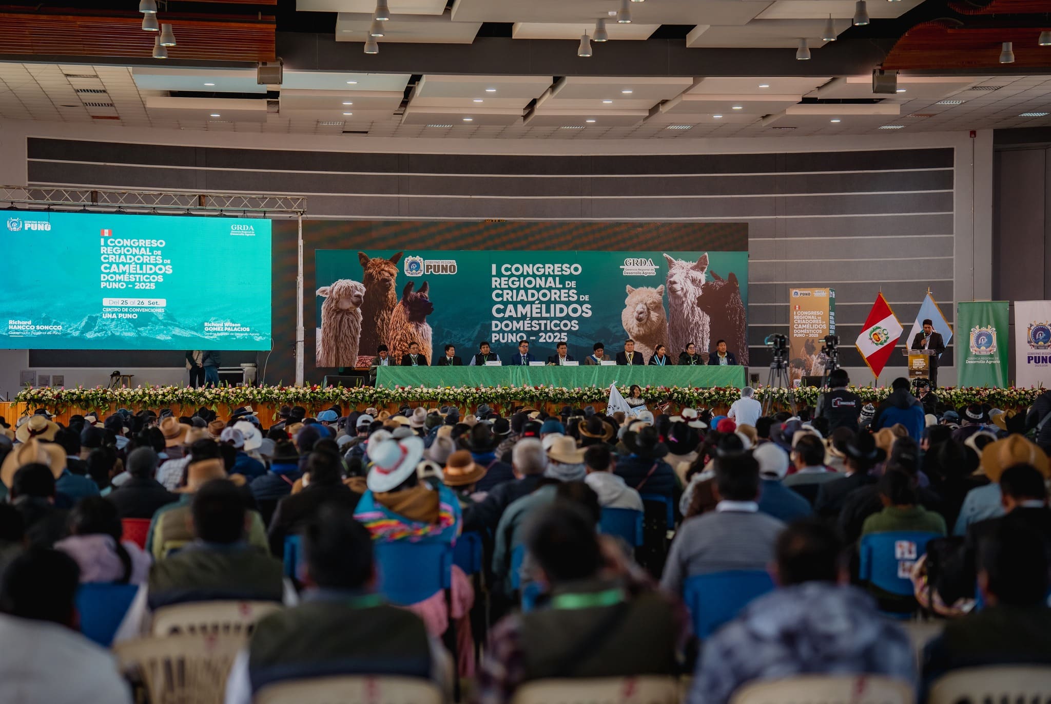 HITO DE PARTICIPACIÓN! MAS DE MIL PRODUCTORES ALPAQUEROS EN EL ARRANQUE DEL I CONGRESO REGIONAL DE CRIADORES DE CAMÉLIDOS DOMÉSTICOS 2025