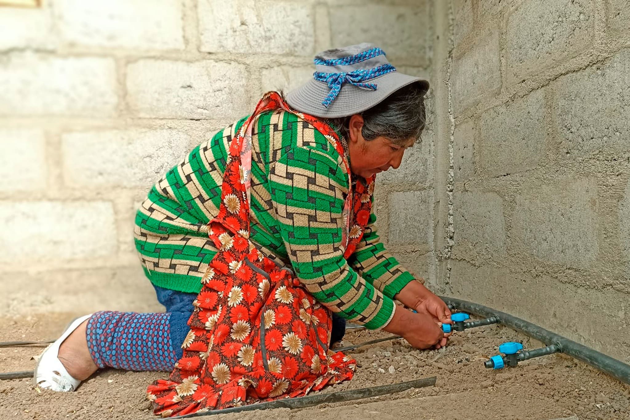 RIEGO TECNIFICADO REVOLUCIONA LA PRODUCCIÓN DE HORTALIZAS EN EL SECTOR RURAL DE PUNO GRACIAS AL PROYECTO SEGURIDAD ALIMENTARIA