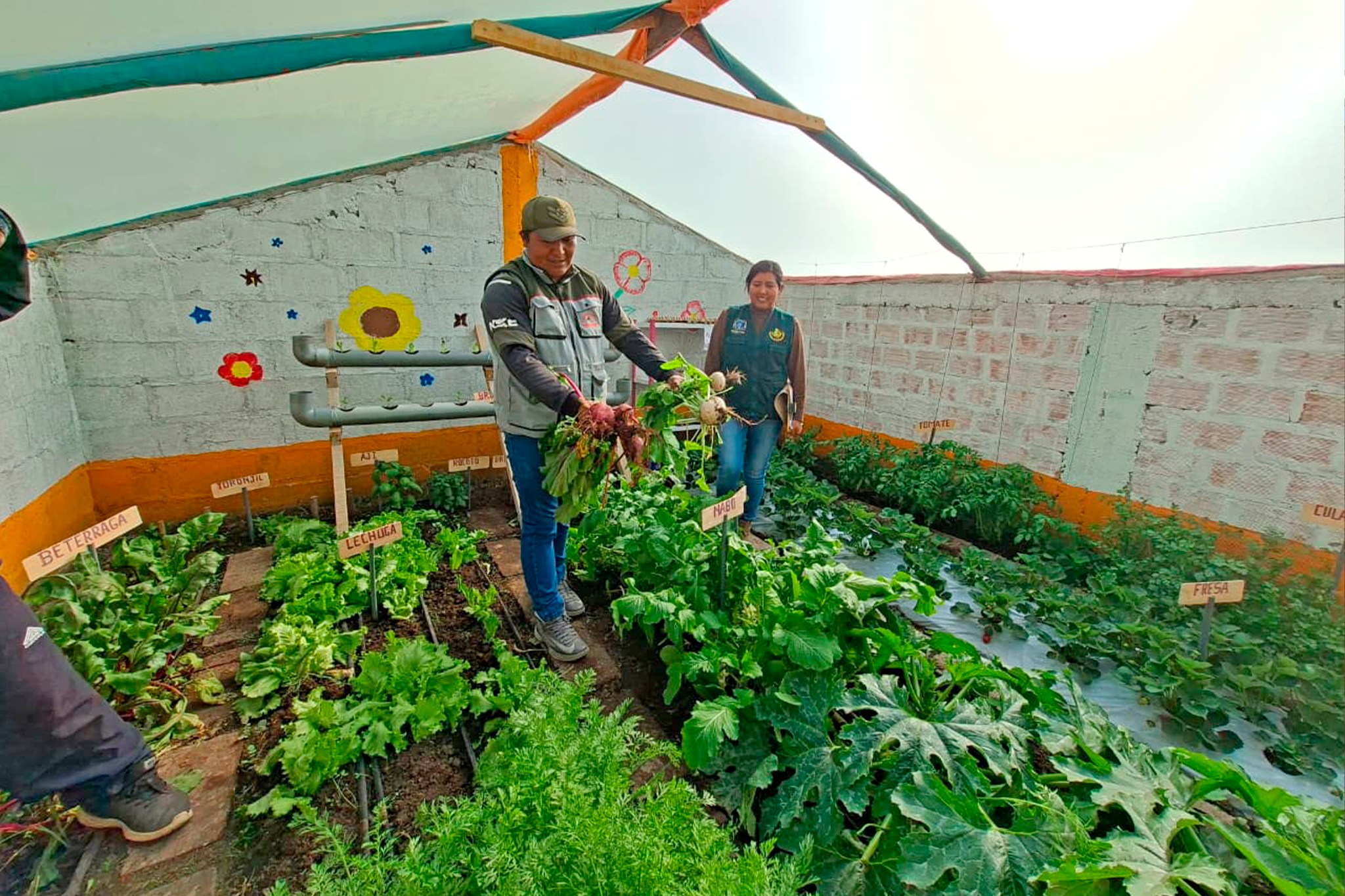 COMUNIDAD DE PARAPECHUZA FORTALECE MÓDULOS DE CRIANZA Y PRODUCCIÓN DE HORTALIZAS CON ACOMPAÑAMIENTO TÉCNICO