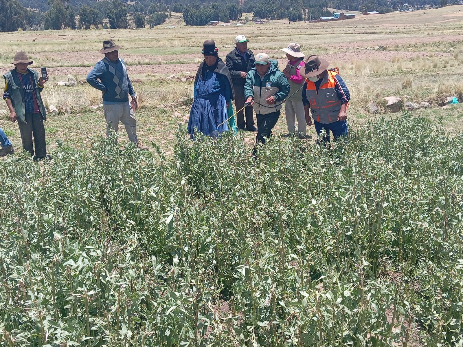 DESDE LA GERENCIA REGIONAL DE DESARROLLO AGRARIO SE TOMA ACCIONES RAPIDAS ANTES LOS CAMBIOS CLIMATICOS MEDIANTE LAS AGENCIAS AGRARIAS