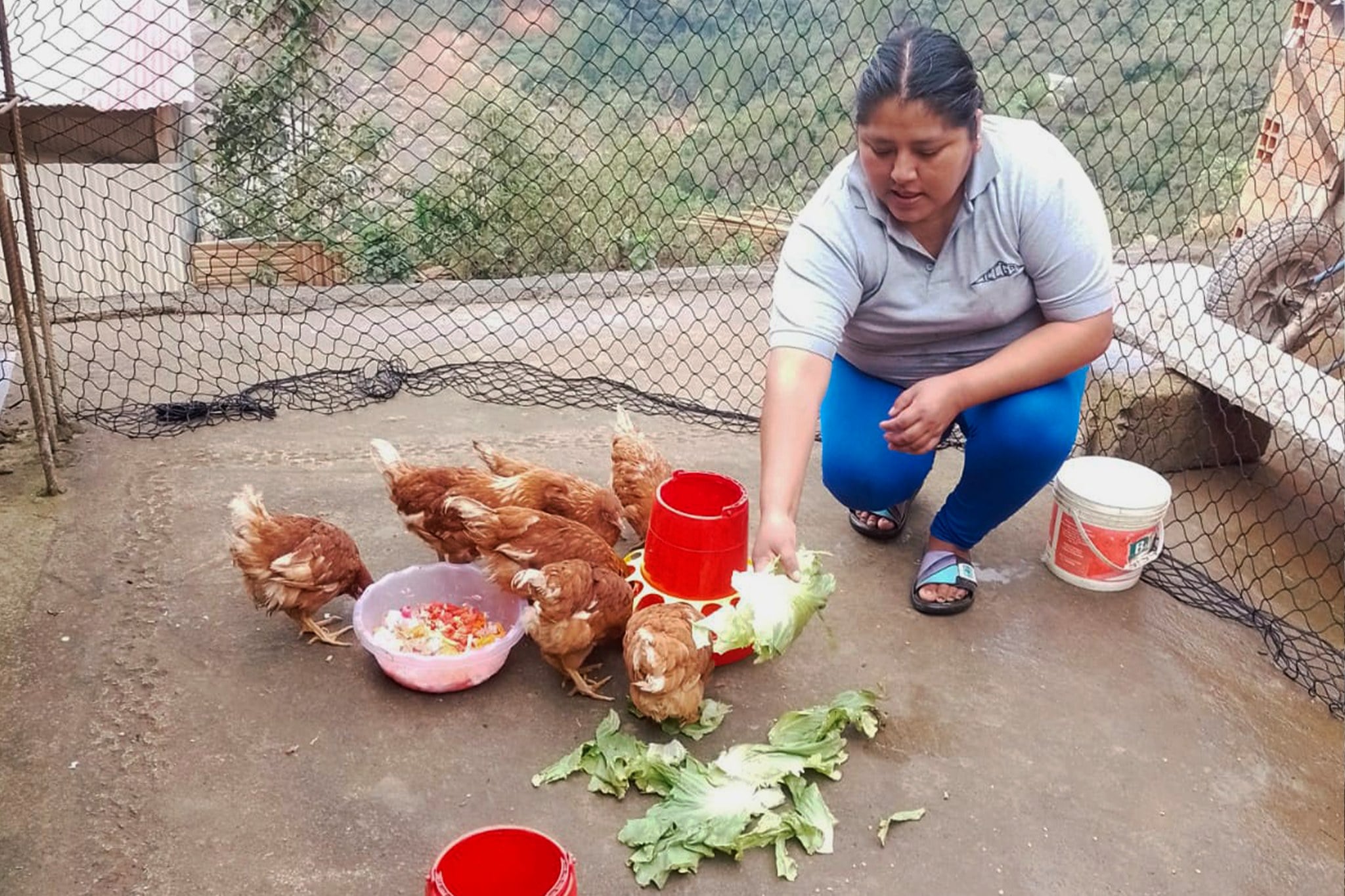 FORTALECEMOS LAS CAPACIDADES PRODUCTIVAS DE LAS FAMILIAS RURALES EN SANDIA