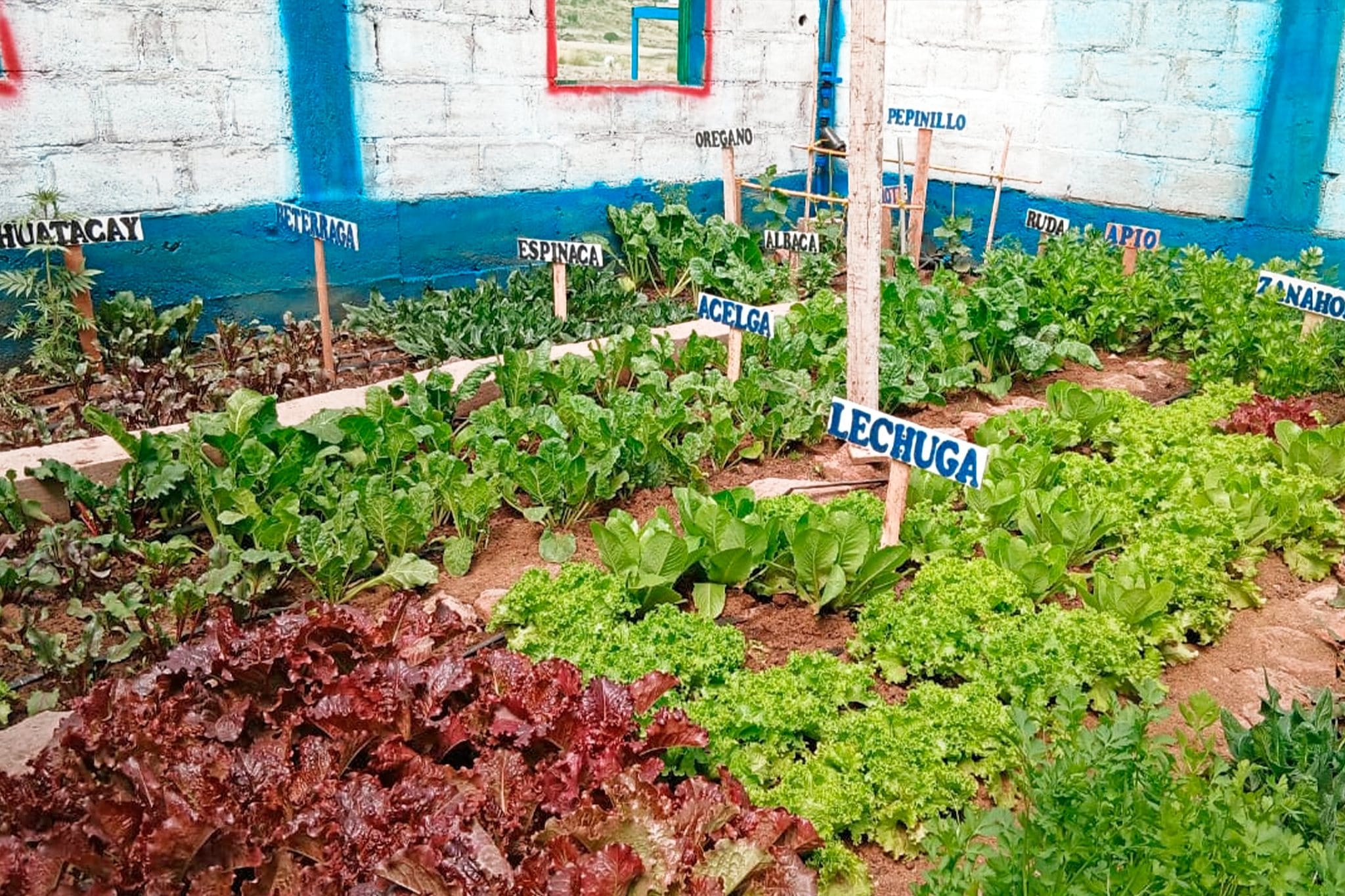 RECONOCEMOS EL ESFUERZO PRODUCTIVO DE FAMILIAS DE ANTOÑANI EN CONCURSO DE EMPRENDIMIENTO